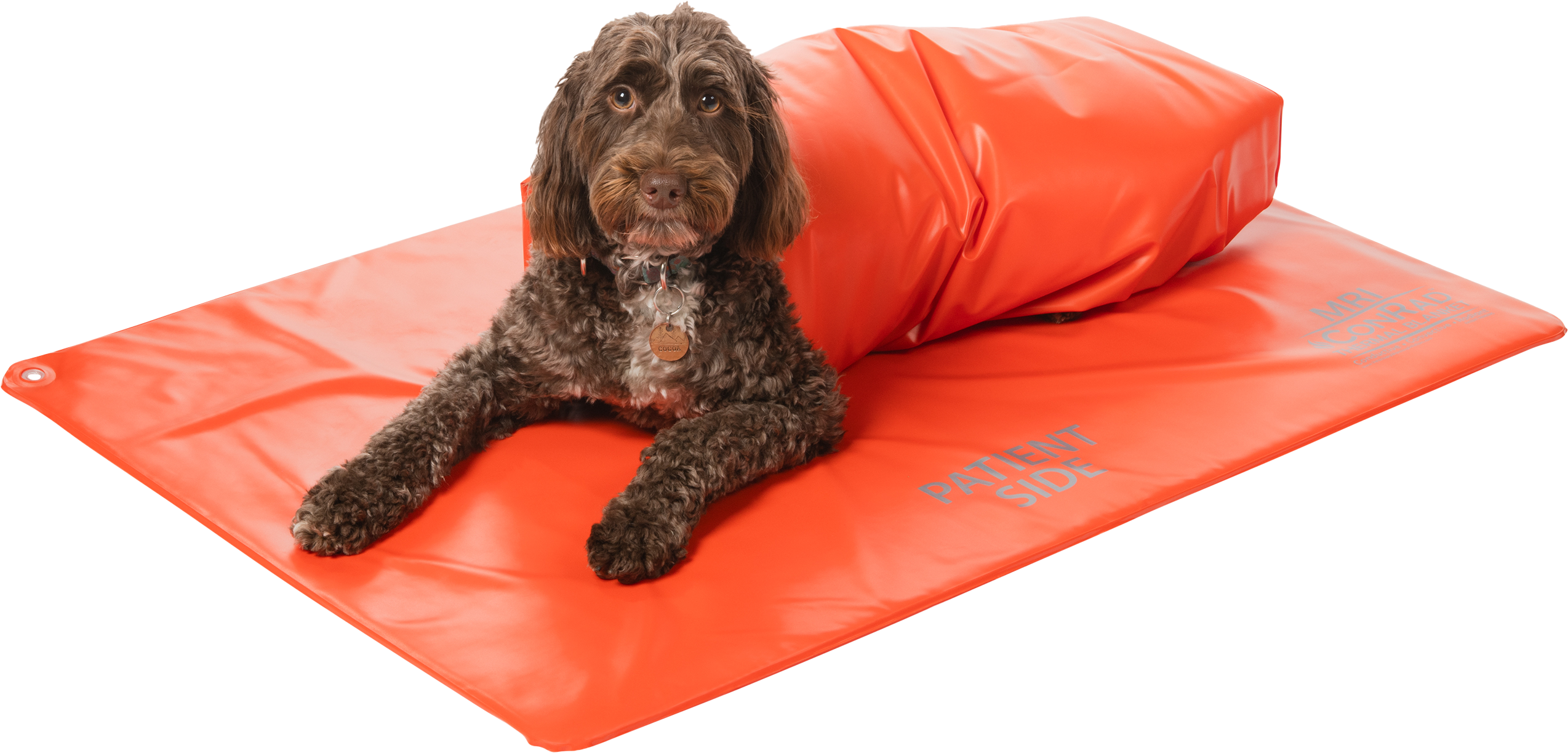 VetORSolutions surgical positioning and warming systems for veterinary OR