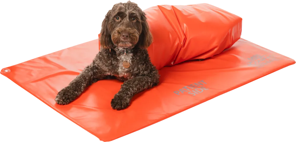 VetORSolutions surgical positioning and warming systems for veterinary OR